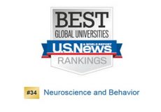 Best Global Universities Ranking